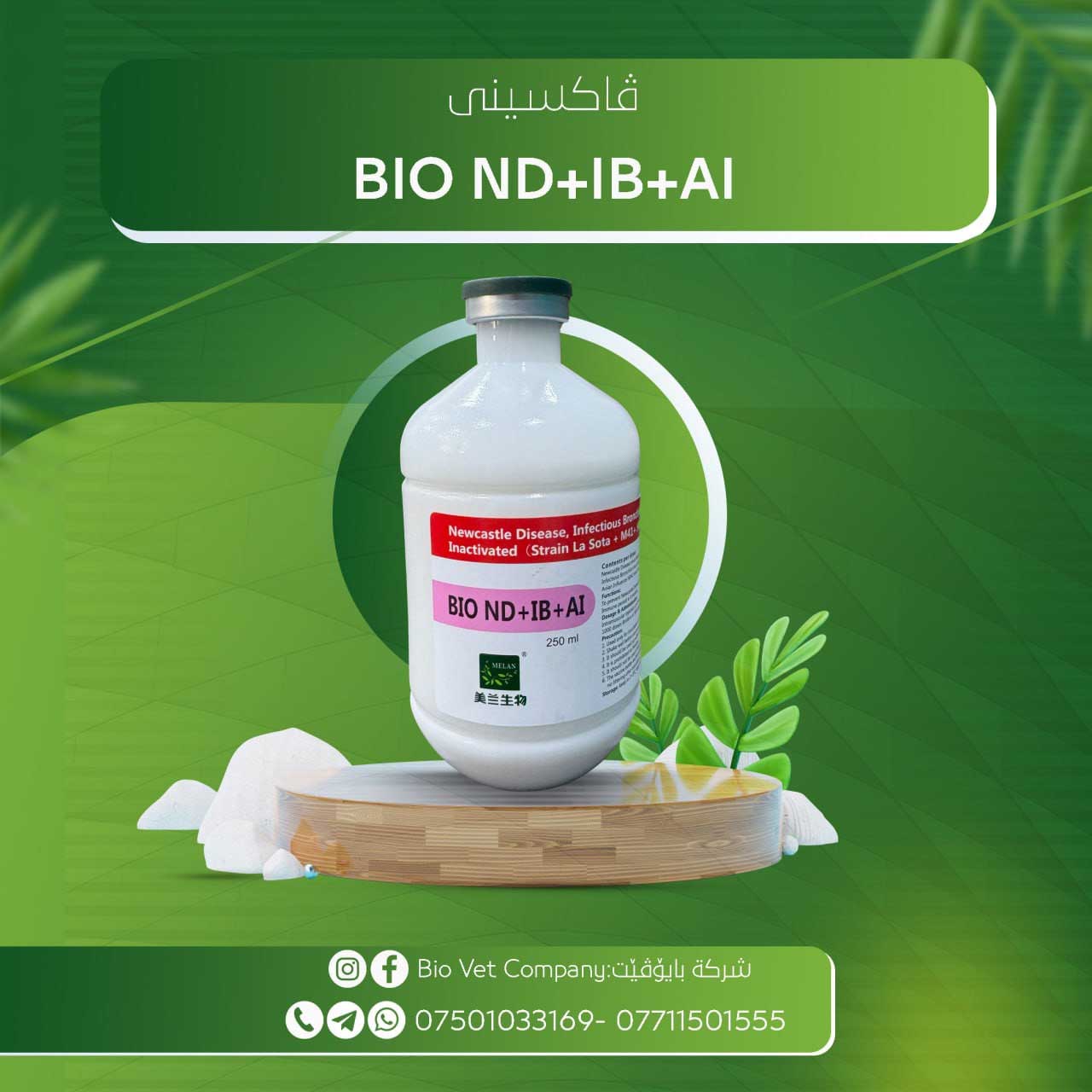 BIO ND+IB+AI